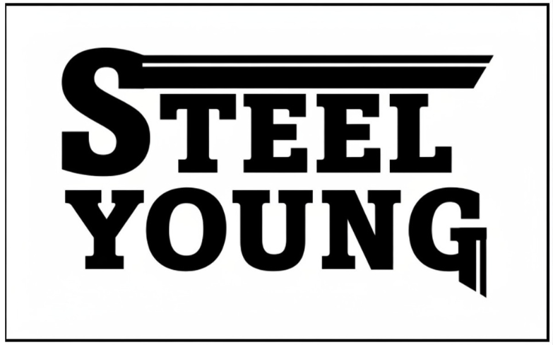 What Materials Can You Recycle with Steel Young LLC?